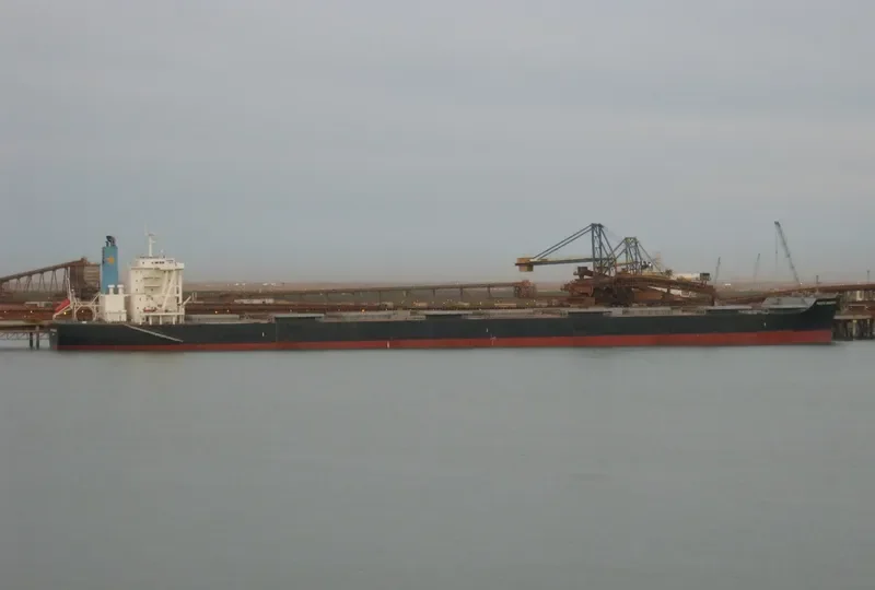 PACIFIST Bulk Carrier IMO 9573775 photo 6