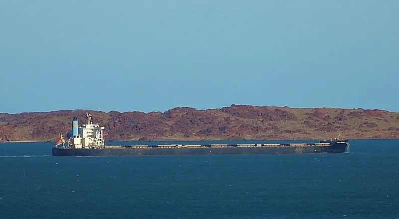 PACIFIST Bulk Carrier IMO 9573775 photo 8