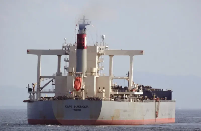 CAPE MAGNOLIA Bulk Carrier IMO 9573787