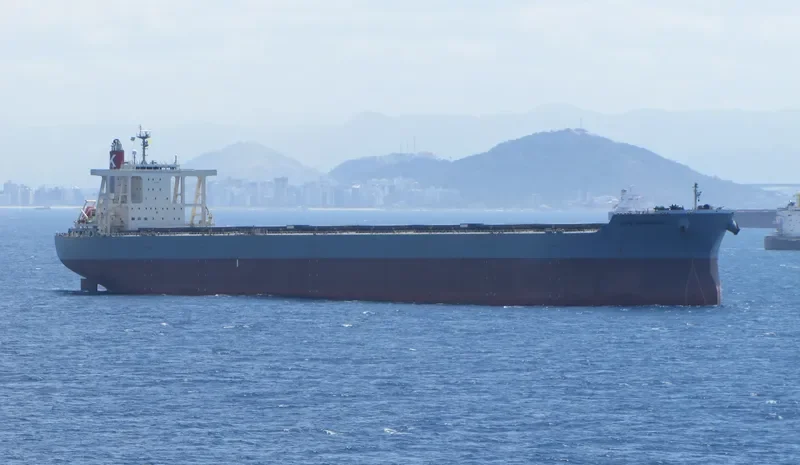 CAPE MAGNOLIA Bulk Carrier IMO 9573787 photo 2