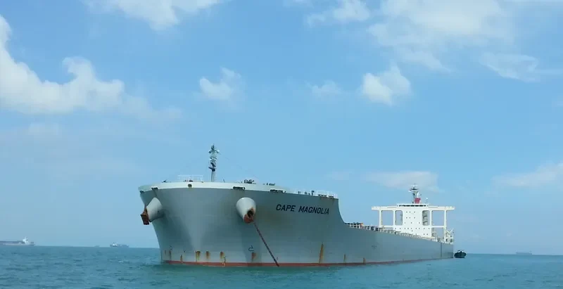 CAPE MAGNOLIA Bulk Carrier IMO 9573787 photo 3