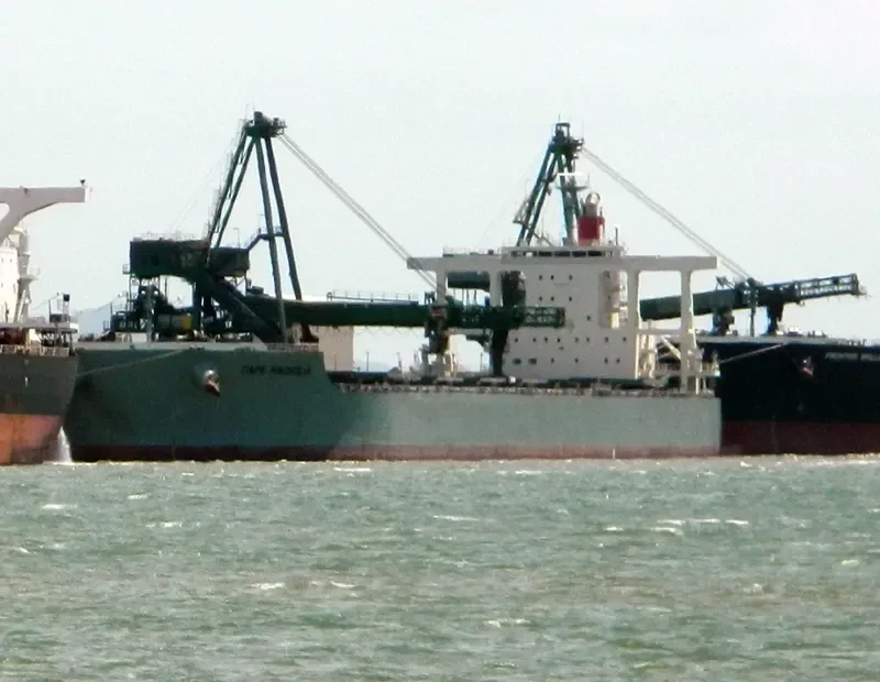 CAPE MAGNOLIA Bulk Carrier IMO 9573787 photo 4