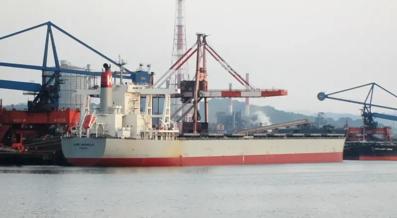 CAPE MAGNOLIA Bulk Carrier IMO 9573787 photo 7