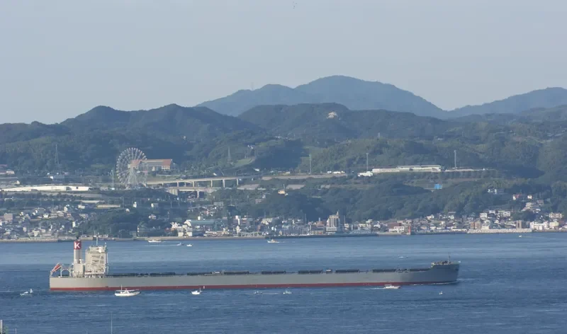 CAPE MAGNOLIA Bulk Carrier IMO 9573787 photo 9