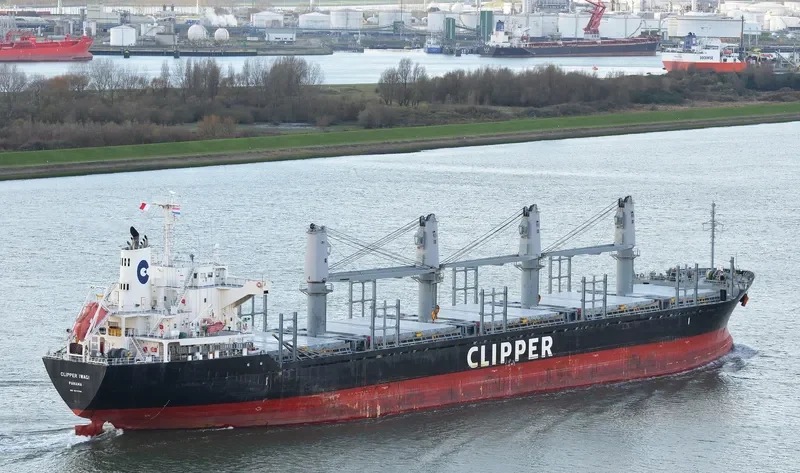 QUEEN ALESIA Bulk Carrier IMO 9573799 photo 3