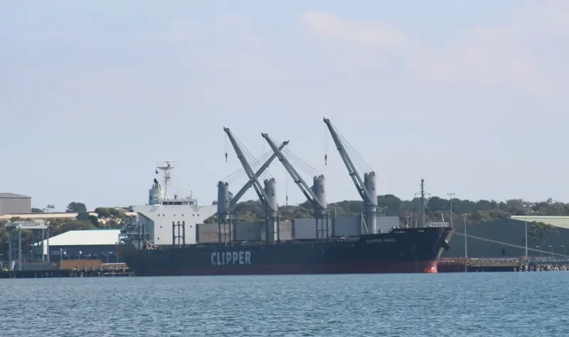 QUEEN ALESIA Bulk Carrier IMO 9573799 photo 4