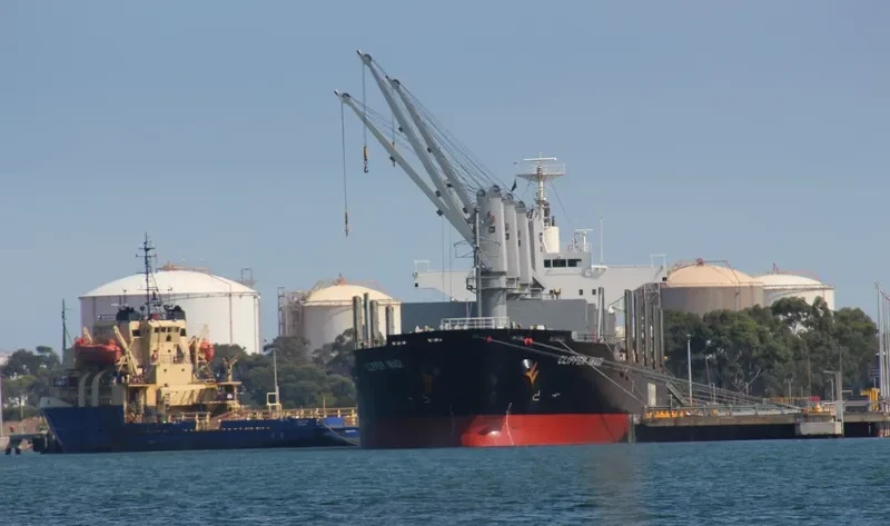 QUEEN ALESIA Bulk Carrier IMO 9573799 photo 5