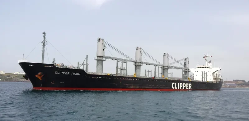 QUEEN ALESIA Bulk Carrier IMO 9573799 photo 7