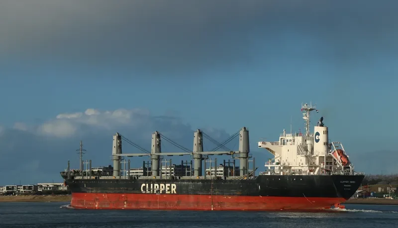 QUEEN ALESIA Bulk Carrier IMO 9573799 photo 10