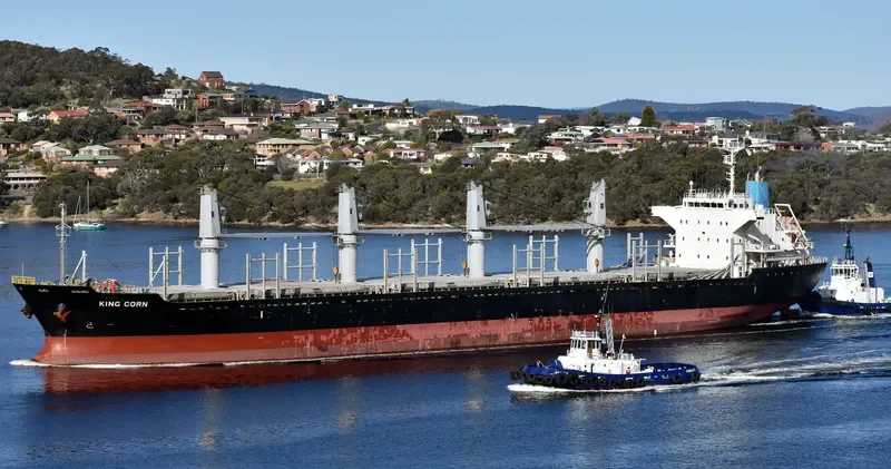 AMMOS Bulk Carrier IMO 9573804 photo 2