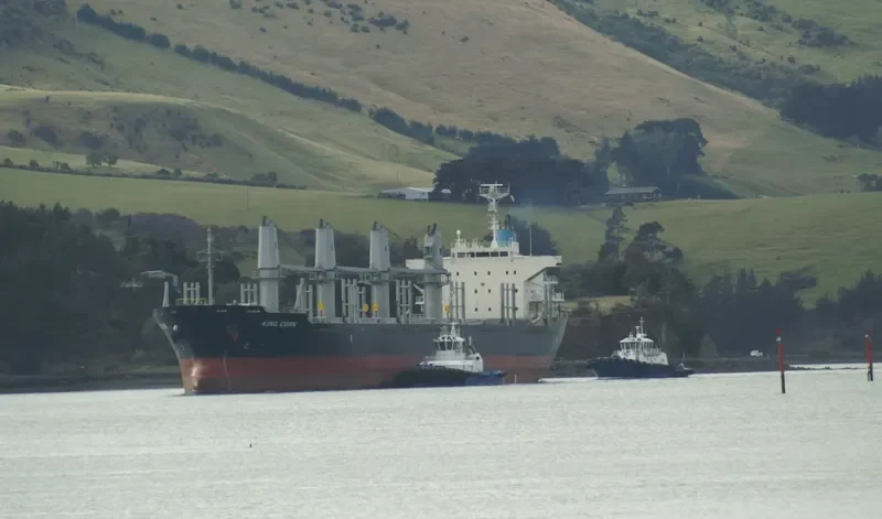 AMMOS Bulk Carrier IMO 9573804 photo 4