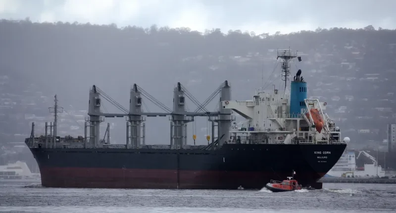 AMMOS Bulk Carrier IMO 9573804 photo 5