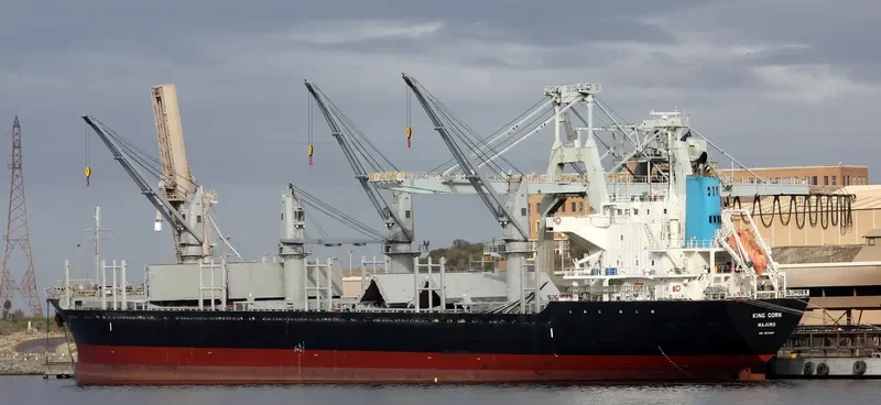 AMMOS Bulk Carrier IMO 9573804 photo 6