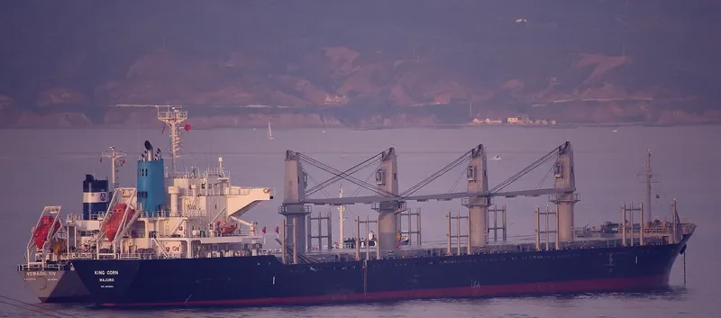 AMMOS Bulk Carrier IMO 9573804 photo 10