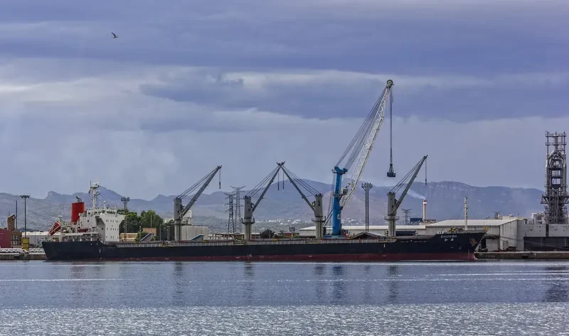 TRAMONTANA Bulk Carrier IMO 9573816