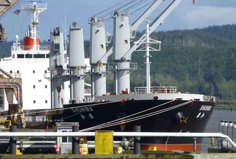 TRAMONTANA Bulk Carrier IMO 9573816 photo 7