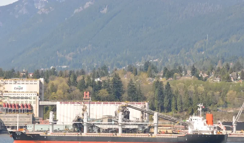 TRAMONTANA Bulk Carrier IMO 9573816 photo 8