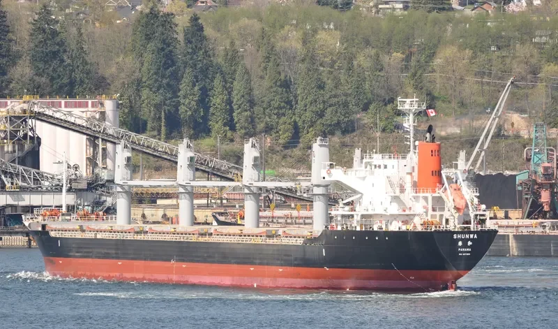 TRAMONTANA Bulk Carrier IMO 9573816 photo 9