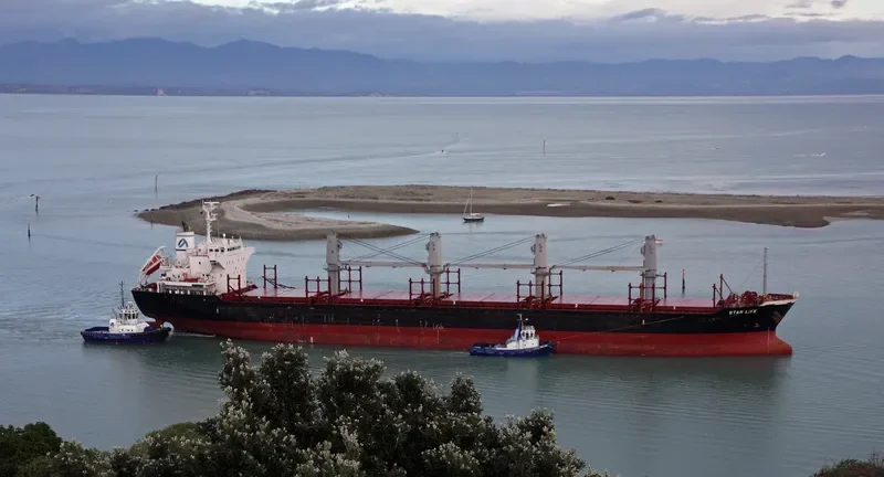 STAR LIFE Bulk Carrier IMO 9573828 photo 2