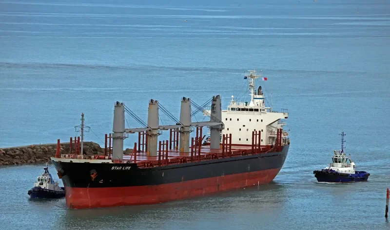 STAR LIFE Bulk Carrier IMO 9573828 photo 5