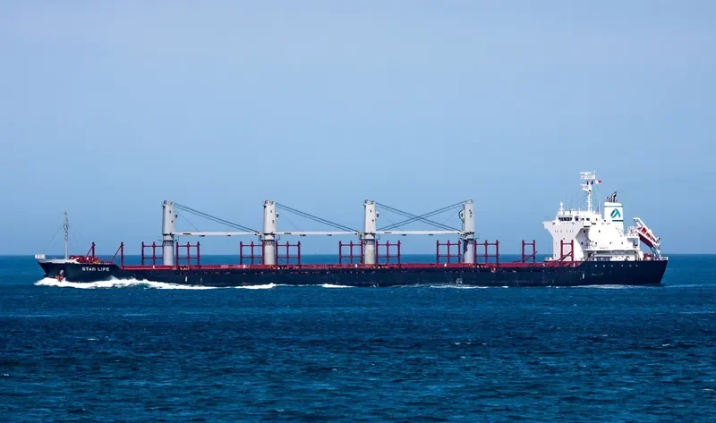 STAR LIFE Bulk Carrier IMO 9573828 photo 7