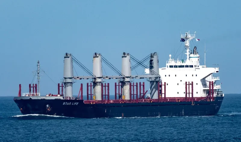 STAR LIFE Bulk Carrier IMO 9573828 photo 8