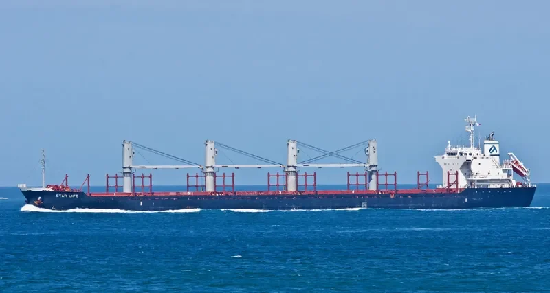 STAR LIFE Bulk Carrier IMO 9573828 photo 10