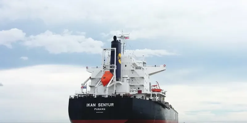IKAN SENYUR Bulk Carrier IMO 9573830 photo 3