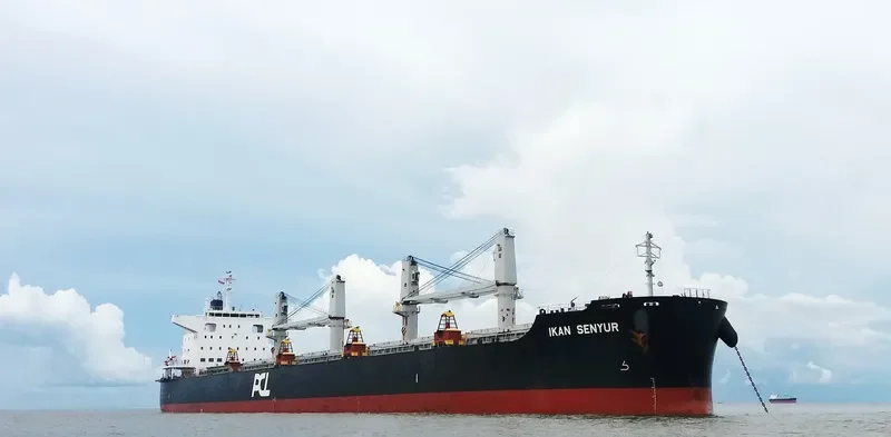 IKAN SENYUR Bulk Carrier IMO 9573830 photo 4