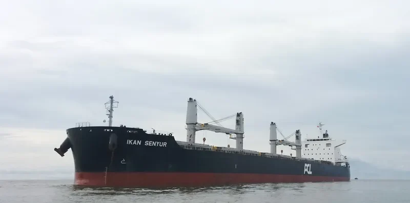 IKAN SENYUR Bulk Carrier IMO 9573830 photo 5