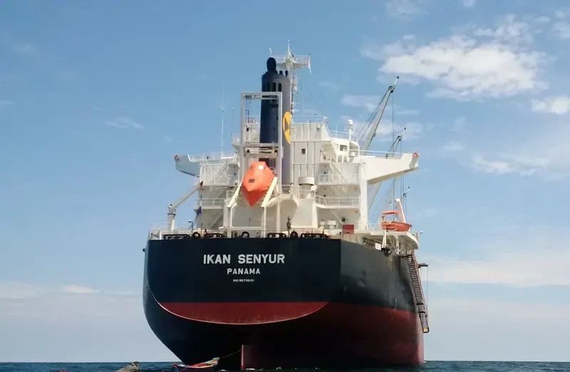 IKAN SENYUR Bulk Carrier IMO 9573830 photo 6