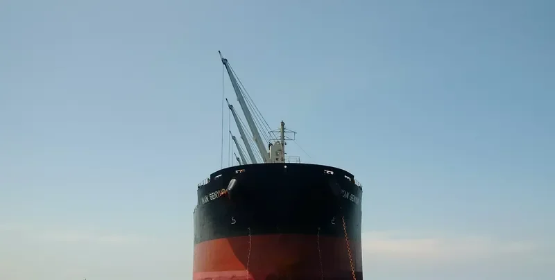 IKAN SENYUR Bulk Carrier IMO 9573830 photo 7
