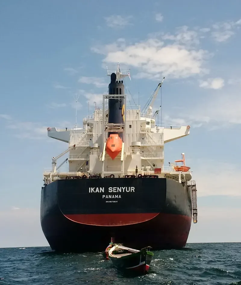 IKAN SENYUR Bulk Carrier IMO 9573830 photo 8
