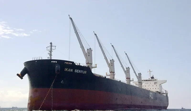 IKAN SENYUR Bulk Carrier IMO 9573830 photo 9