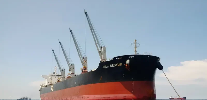 IKAN SENYUR Bulk Carrier IMO 9573830 photo 10