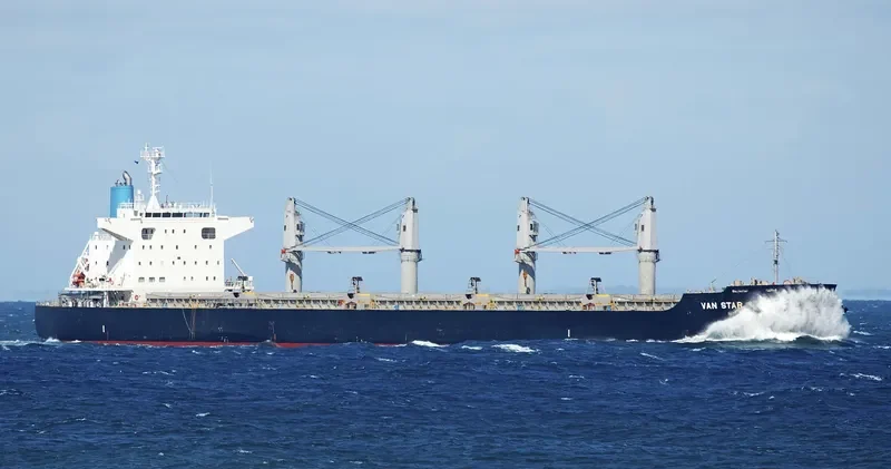VAN STAR Bulk Carrier IMO 9573842