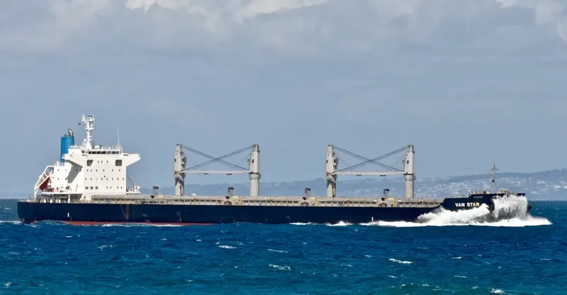 VAN STAR Bulk Carrier IMO 9573842 photo 3