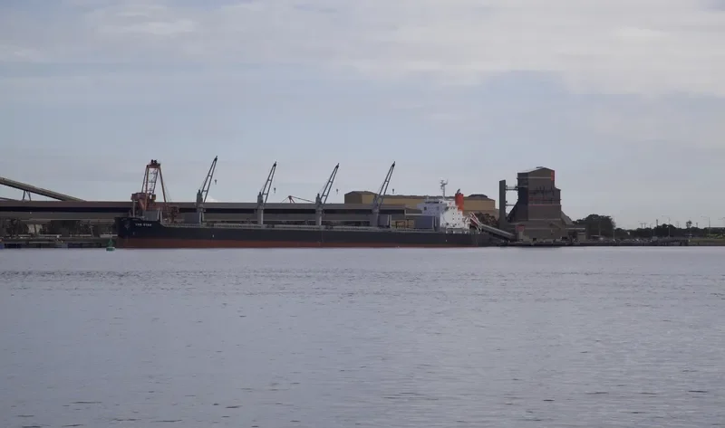 VAN STAR Bulk Carrier IMO 9573842 photo 5