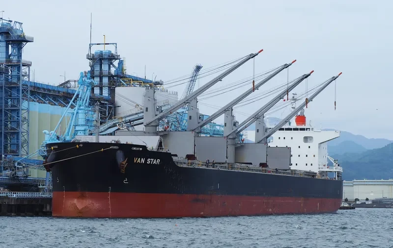 VAN STAR Bulk Carrier IMO 9573842 photo 6