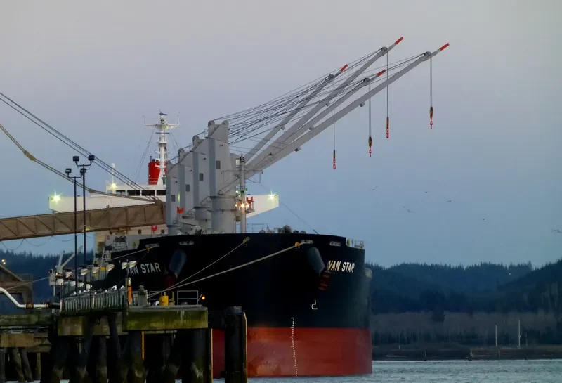 VAN STAR Bulk Carrier IMO 9573842 photo 8