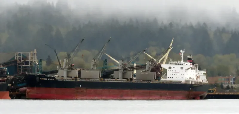 FURNESS ST KILDA Bulk Carrier IMO 9573854 photo 5