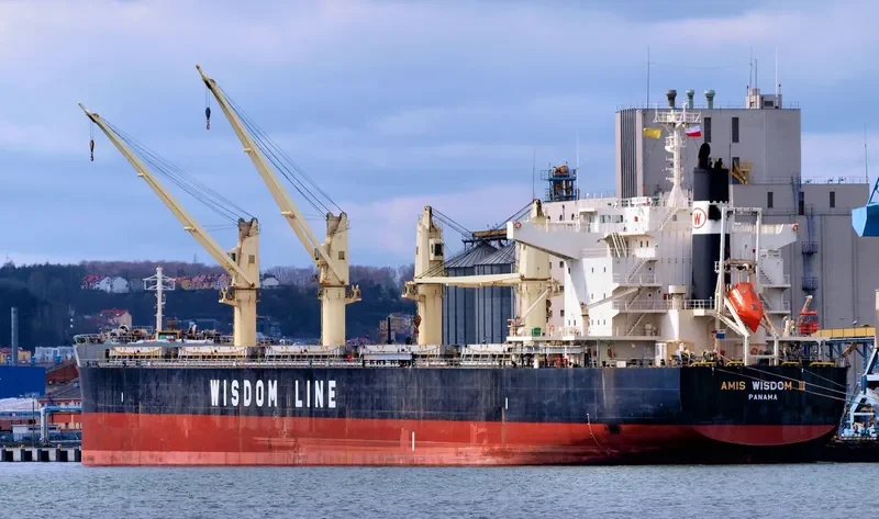AMIS WISDOM III Bulk Carrier IMO 9573866