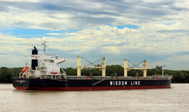 AMIS WISDOM III Bulk Carrier IMO 9573866 photo 2