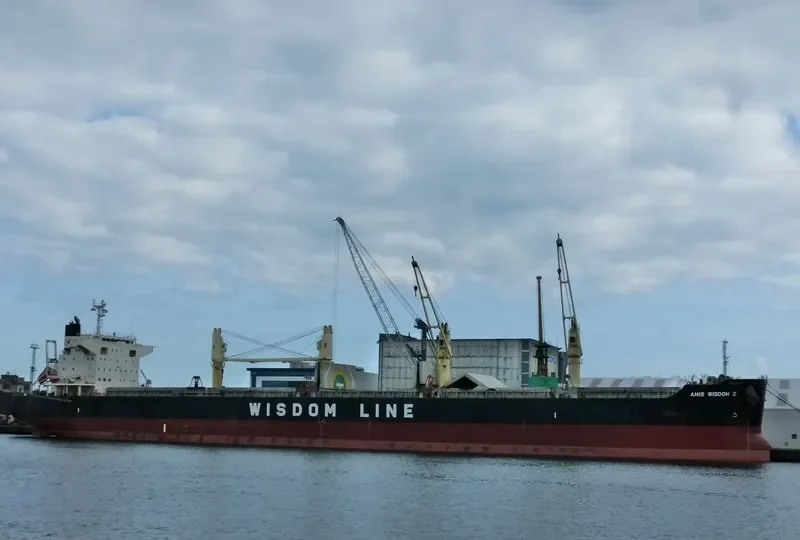 AMIS WISDOM III Bulk Carrier IMO 9573866 photo 5