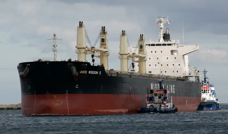 AMIS WISDOM III Bulk Carrier IMO 9573866 photo 9