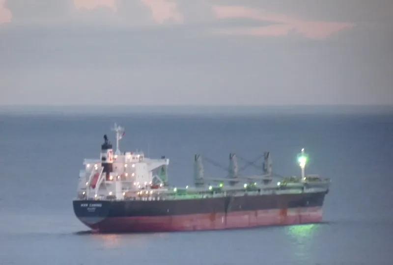 MAR CAMINO Bulk Carrier IMO 9573892 photo 3