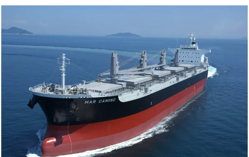 MAR CAMINO Bulk Carrier IMO 9573892 photo 5