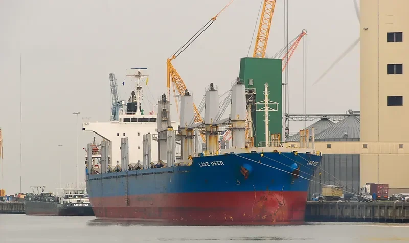NORD VIND Bulk Carrier IMO 9573921