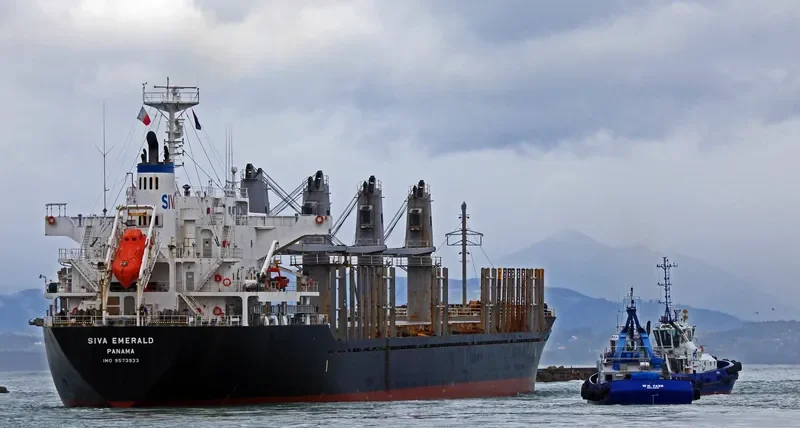 HAI PHUONG 86 Bulk Carrier IMO 9573933