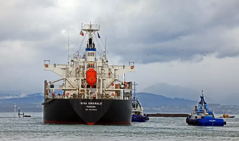 HAI PHUONG 86 Bulk Carrier IMO 9573933 photo 2